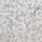 Ackland Elyra Perla Hexagon 11 in. x 12 in. Glossy Glass Mosaic Wall Tile, 15PK AKM-G-ELPE3X3HX-CA - alternate 1